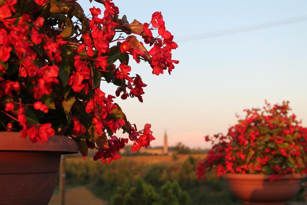 Agriturismo Le Casette Castelvetro di Modena Exteriör bild