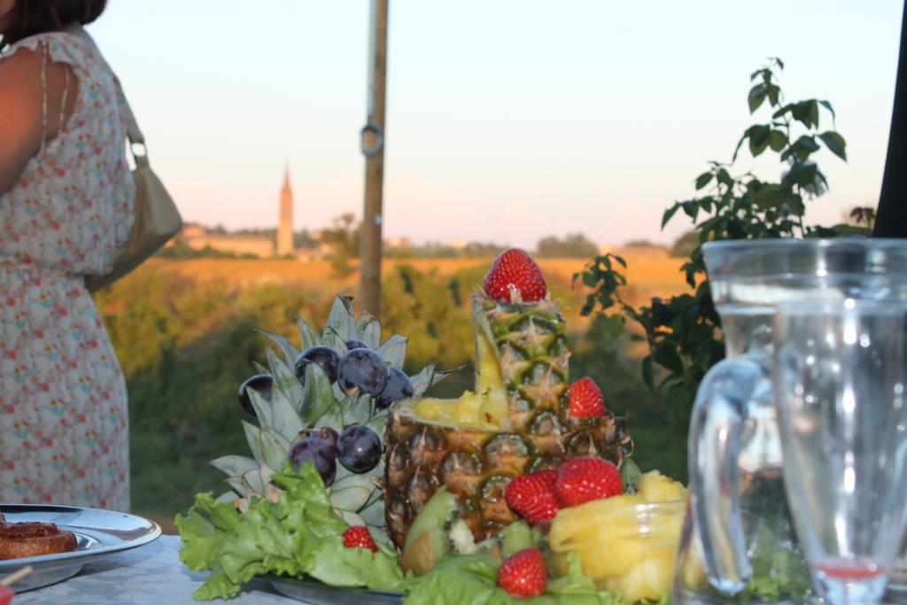 Agriturismo Le Casette Castelvetro di Modena Exteriör bild